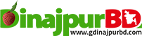 dinajpurBD logo